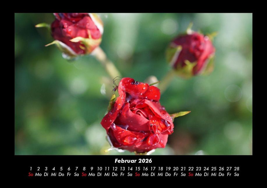 additionalImage6