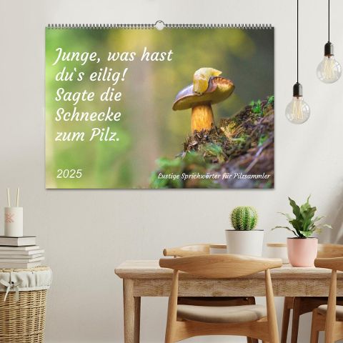 additionalImage1