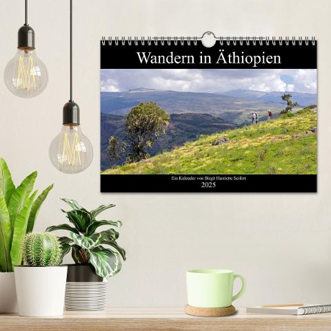 additionalImage1