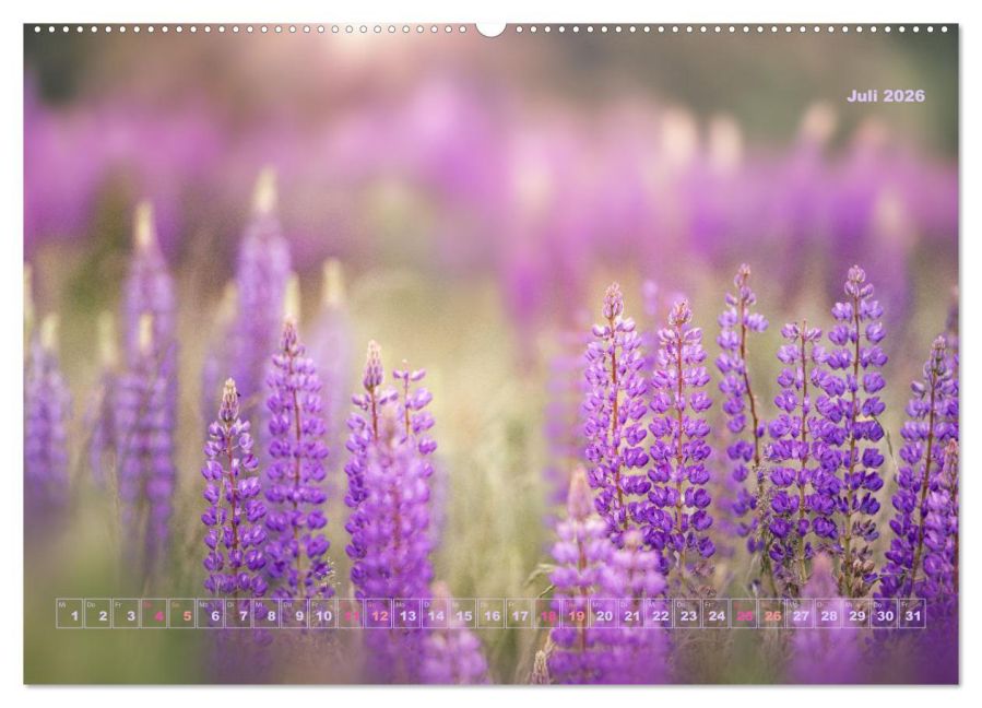 additionalImage12