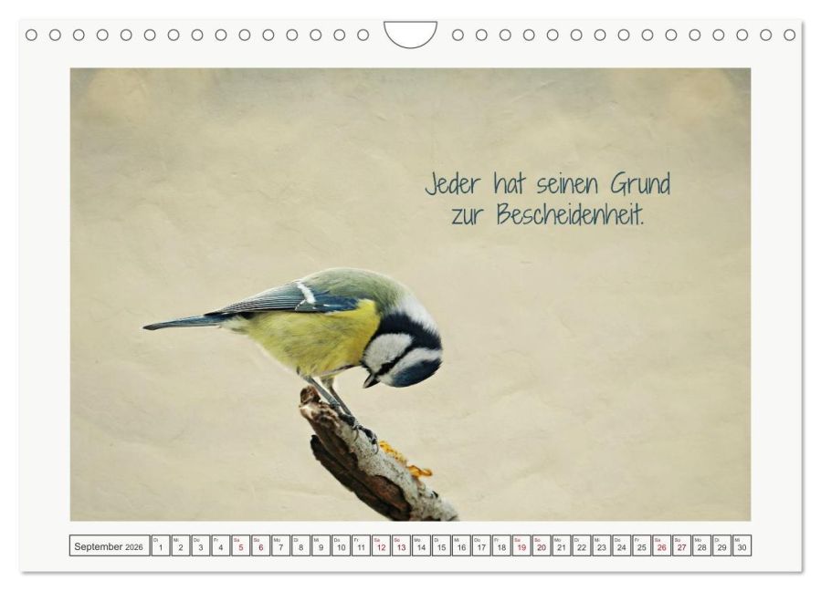 additionalImage14