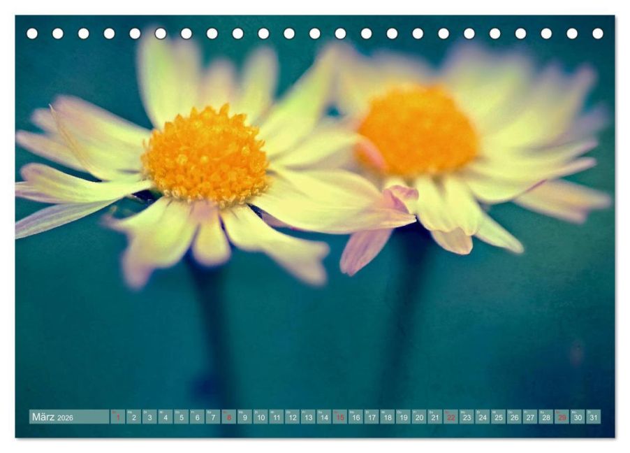 additionalImage8