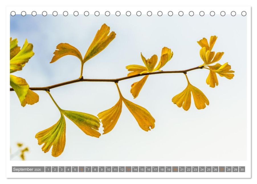additionalImage14