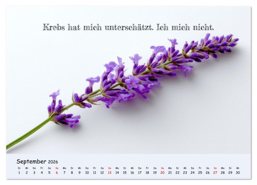 additionalImage14