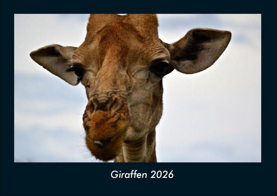 Giraffen 2026 Fotokalender DIN A4 - Tobias Becker