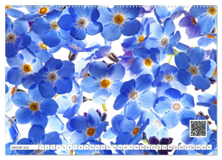 additionalImage6