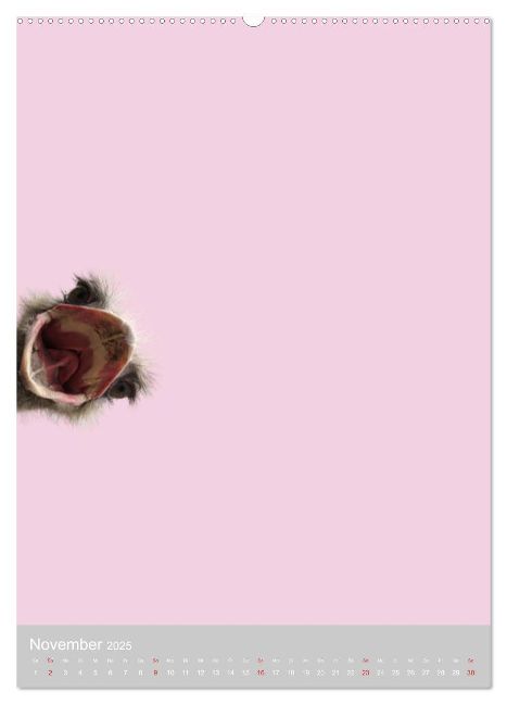 additionalImage3