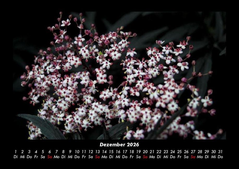 additionalImage4