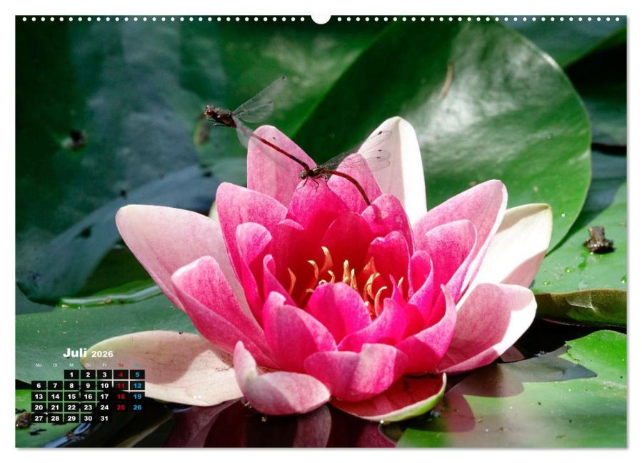 additionalImage11