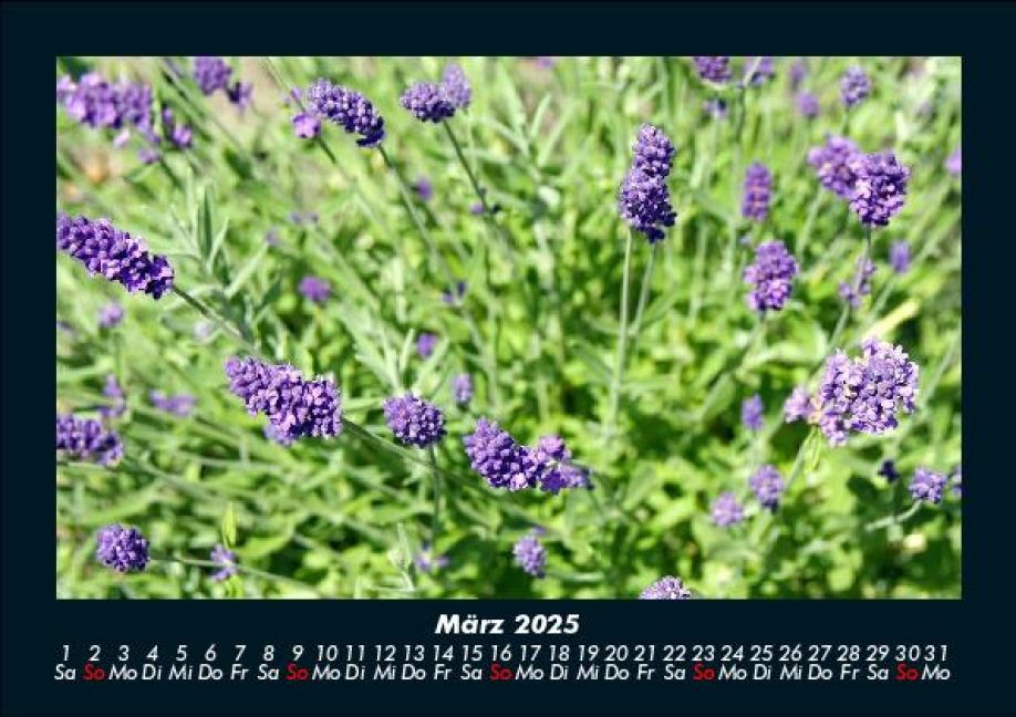 additionalImage7