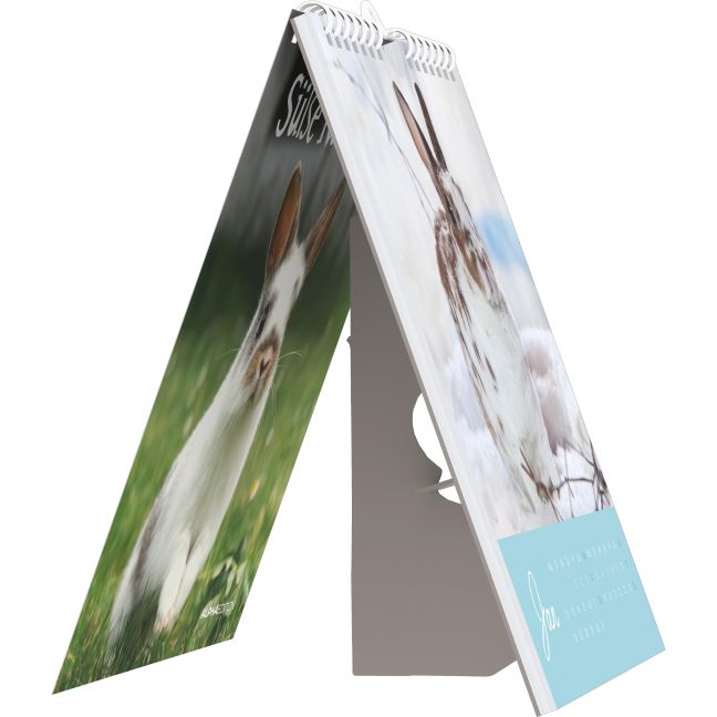 additionalImage4