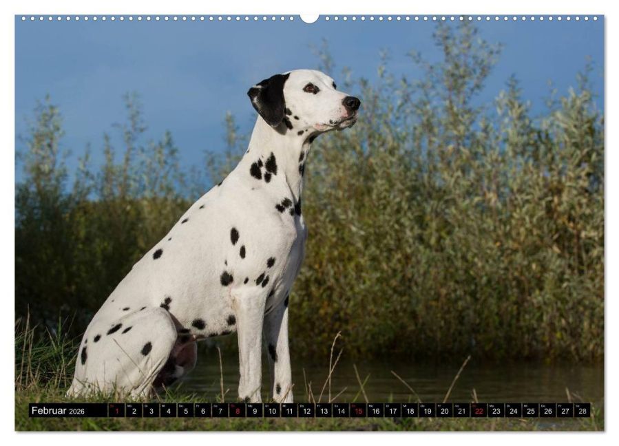 additionalImage6