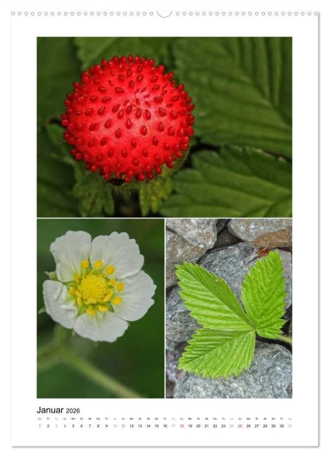 additionalImage6