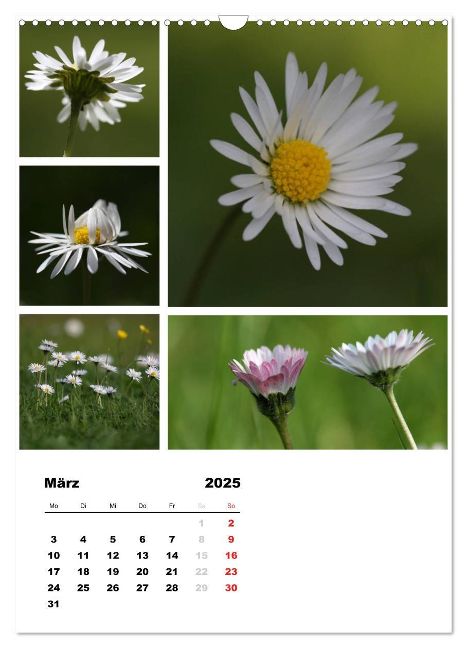 additionalImage8