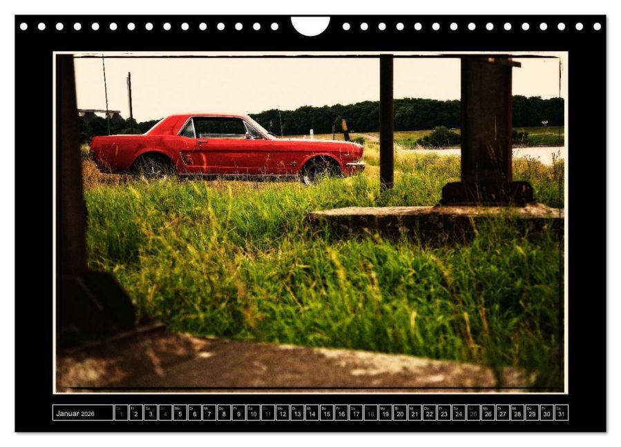 additionalImage6