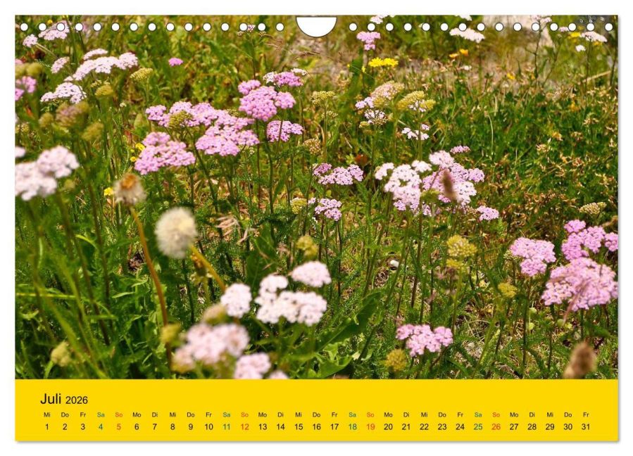 additionalImage12