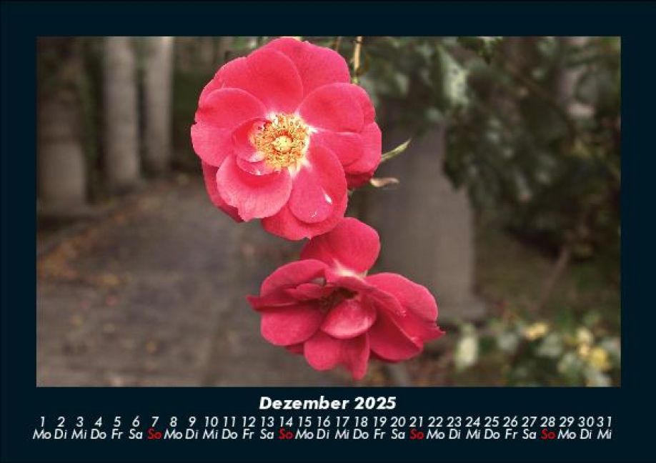 additionalImage4