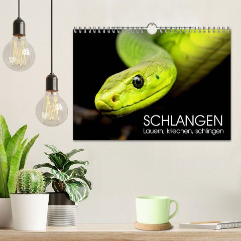 additionalImage1
