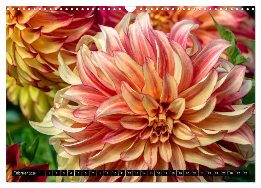 additionalImage7