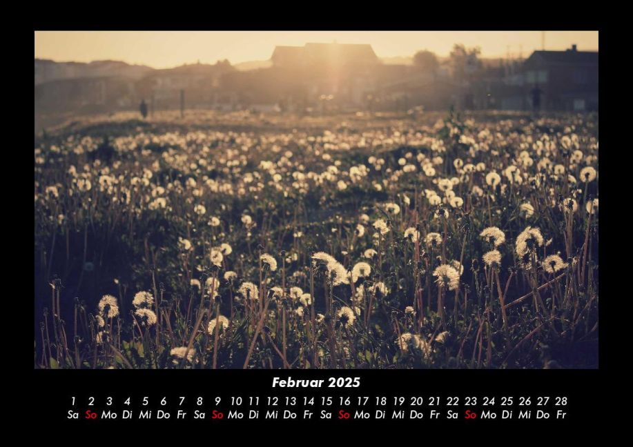 additionalImage6