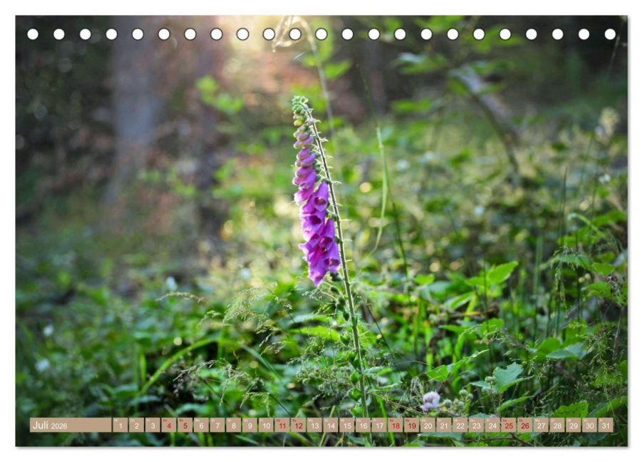 additionalImage12