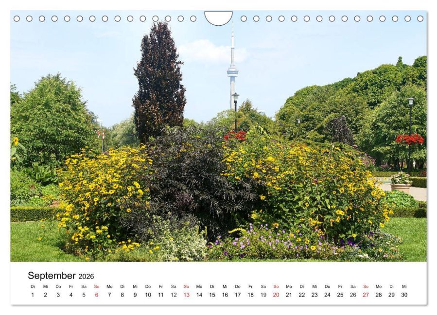 additionalImage14