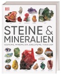 Cover-Bild zum Titel 'Steine & Mineralien' von 'Ronald L. Bonewitz'