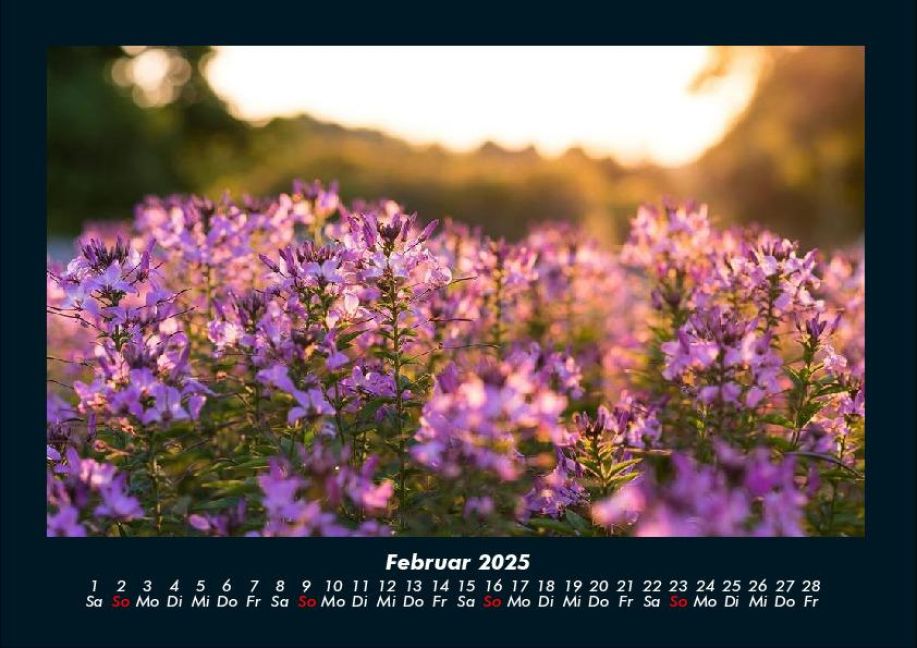 additionalImage6