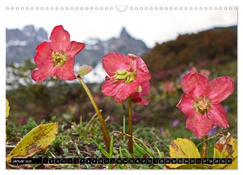 additionalImage6