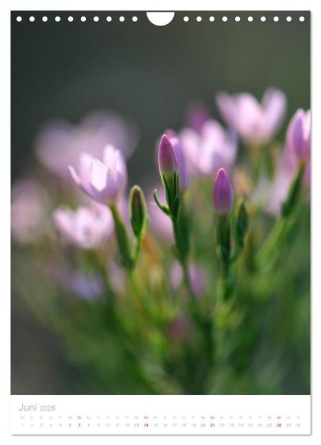 additionalImage11