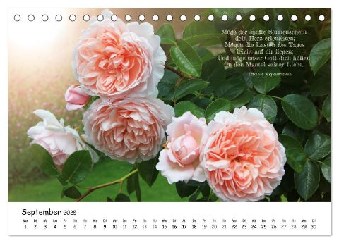 additionalImage14