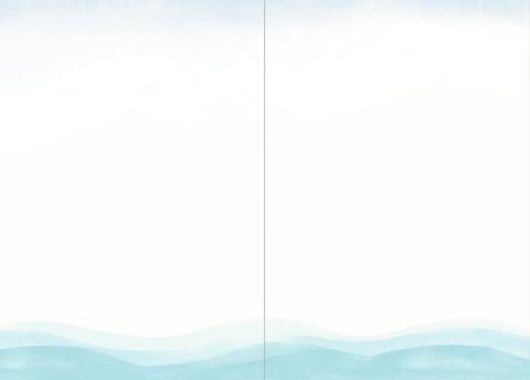 additionalImage2