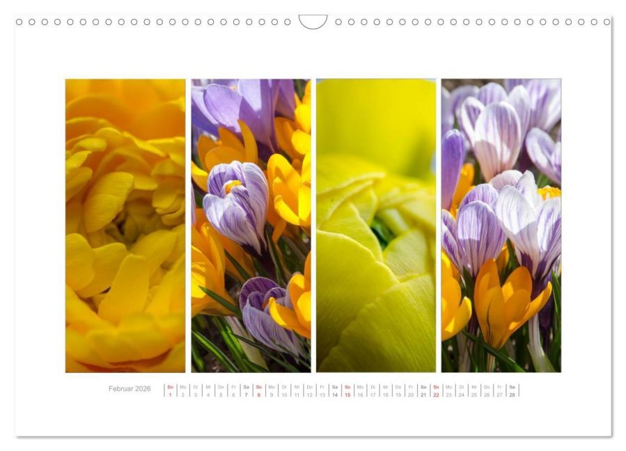 additionalImage7