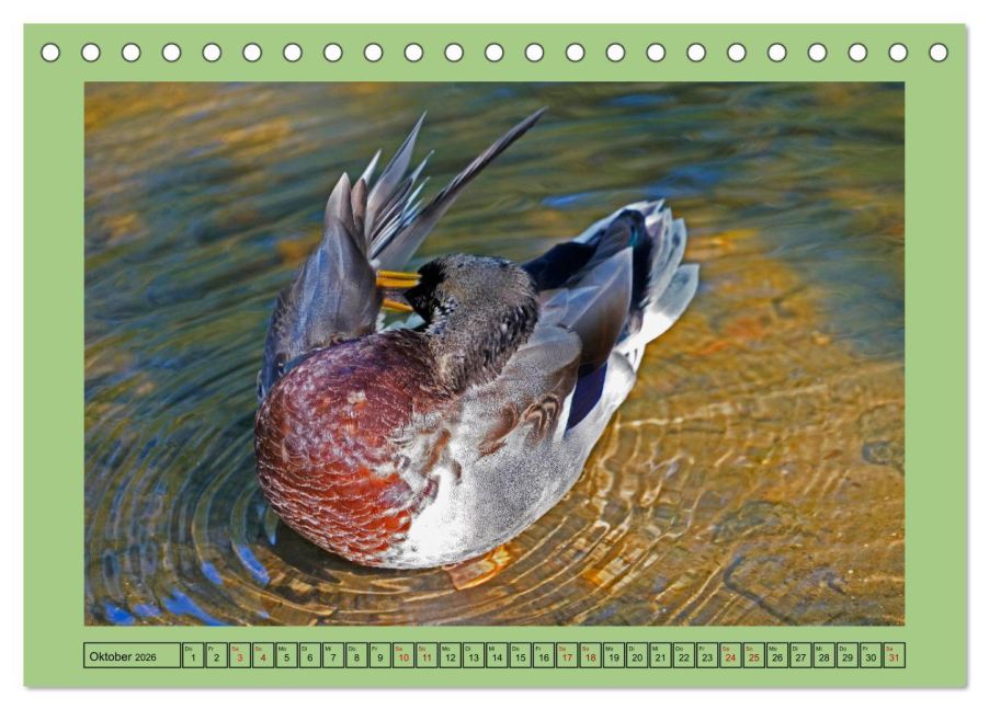 additionalImage2