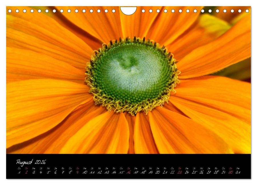 additionalImage13