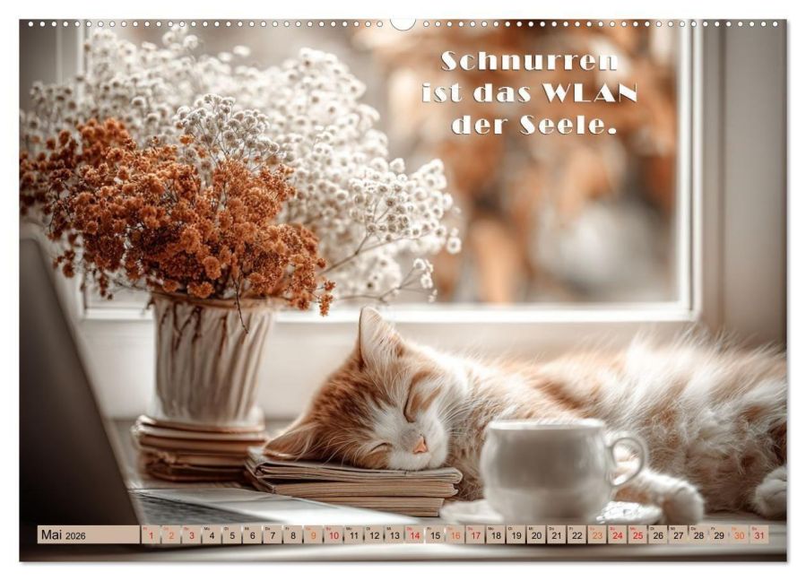 additionalImage10