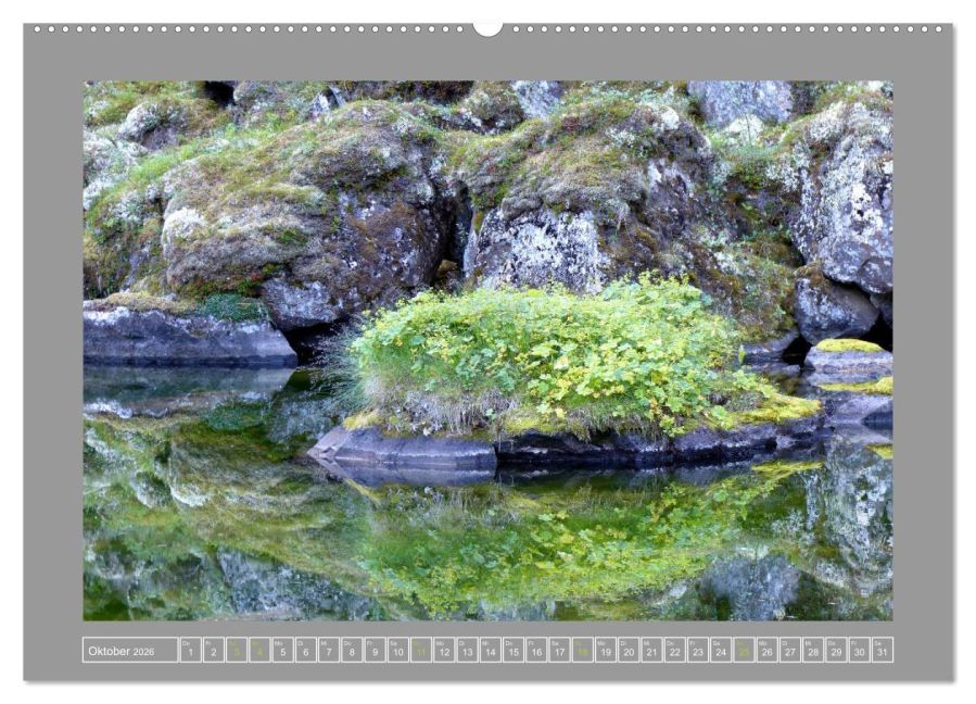 additionalImage1
