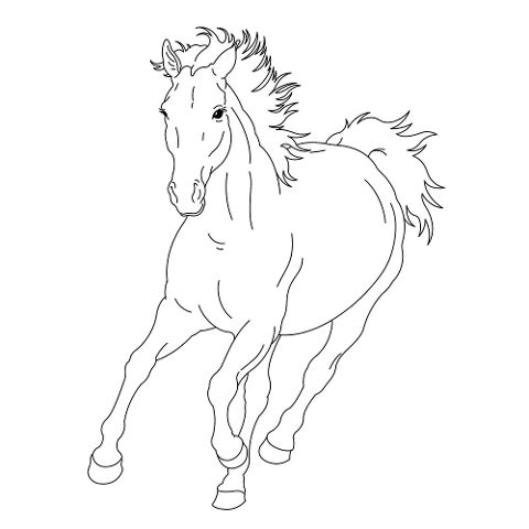 additionalImage3