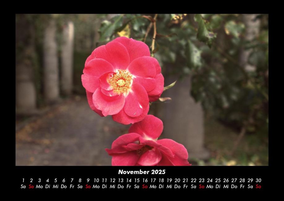 additionalImage3