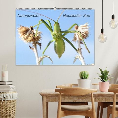 additionalImage1