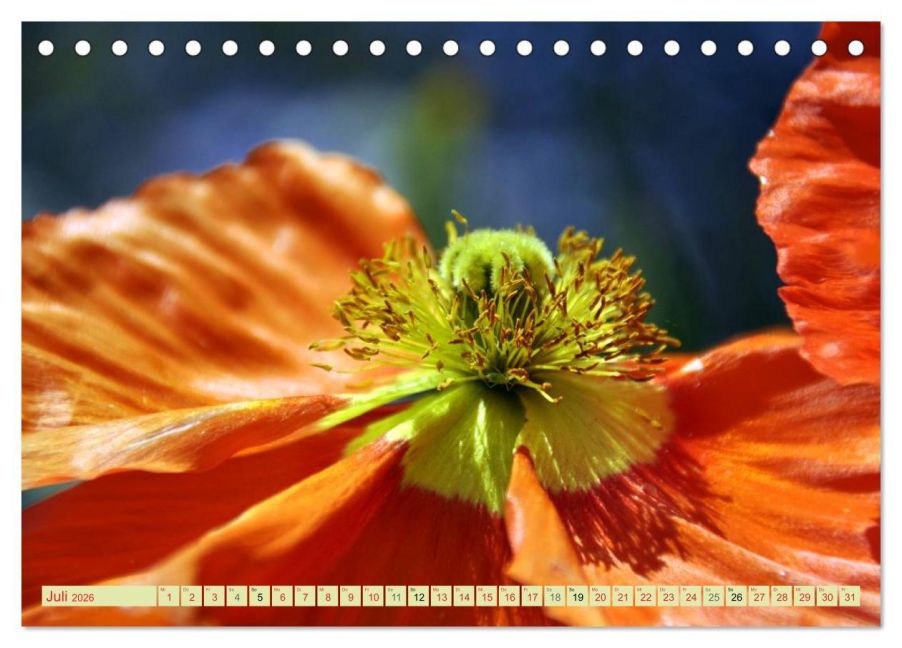 additionalImage12
