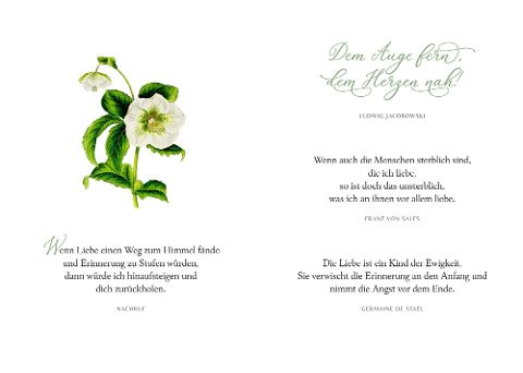 additionalImage2