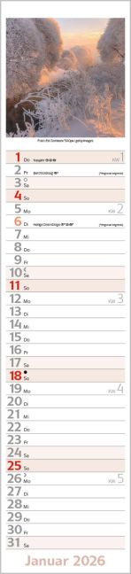 additionalImage1