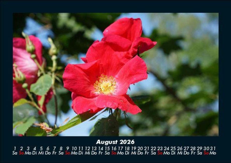 additionalImage12