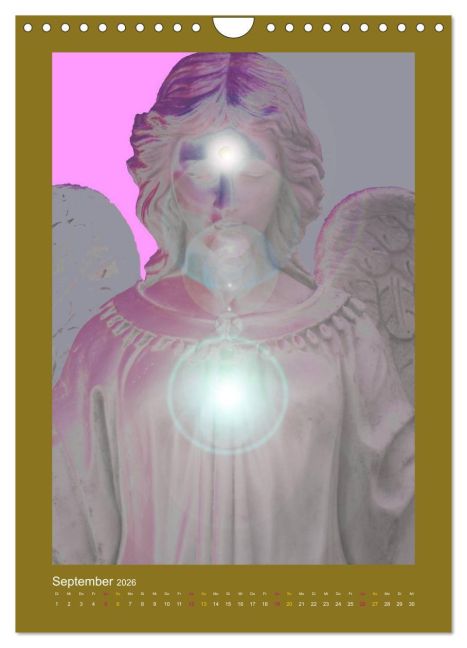 additionalImage14