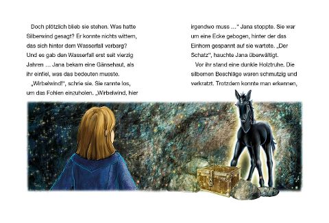 additionalImage2