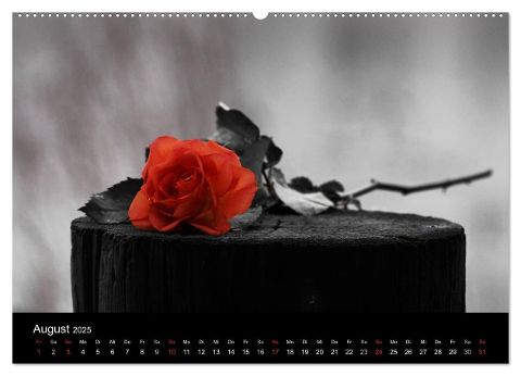 additionalImage13