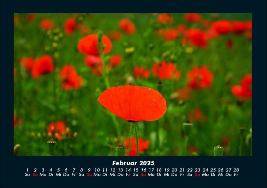 additionalImage6