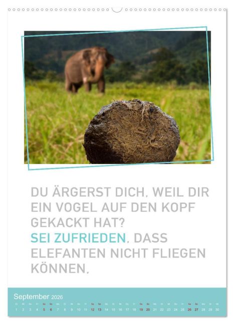 additionalImage14