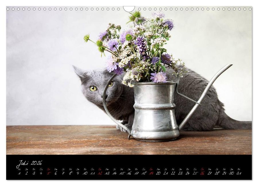 additionalImage12